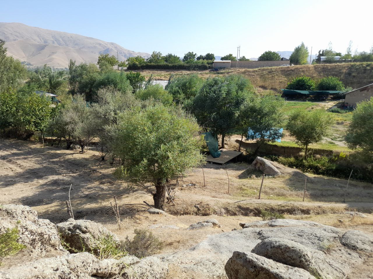 Tabiat