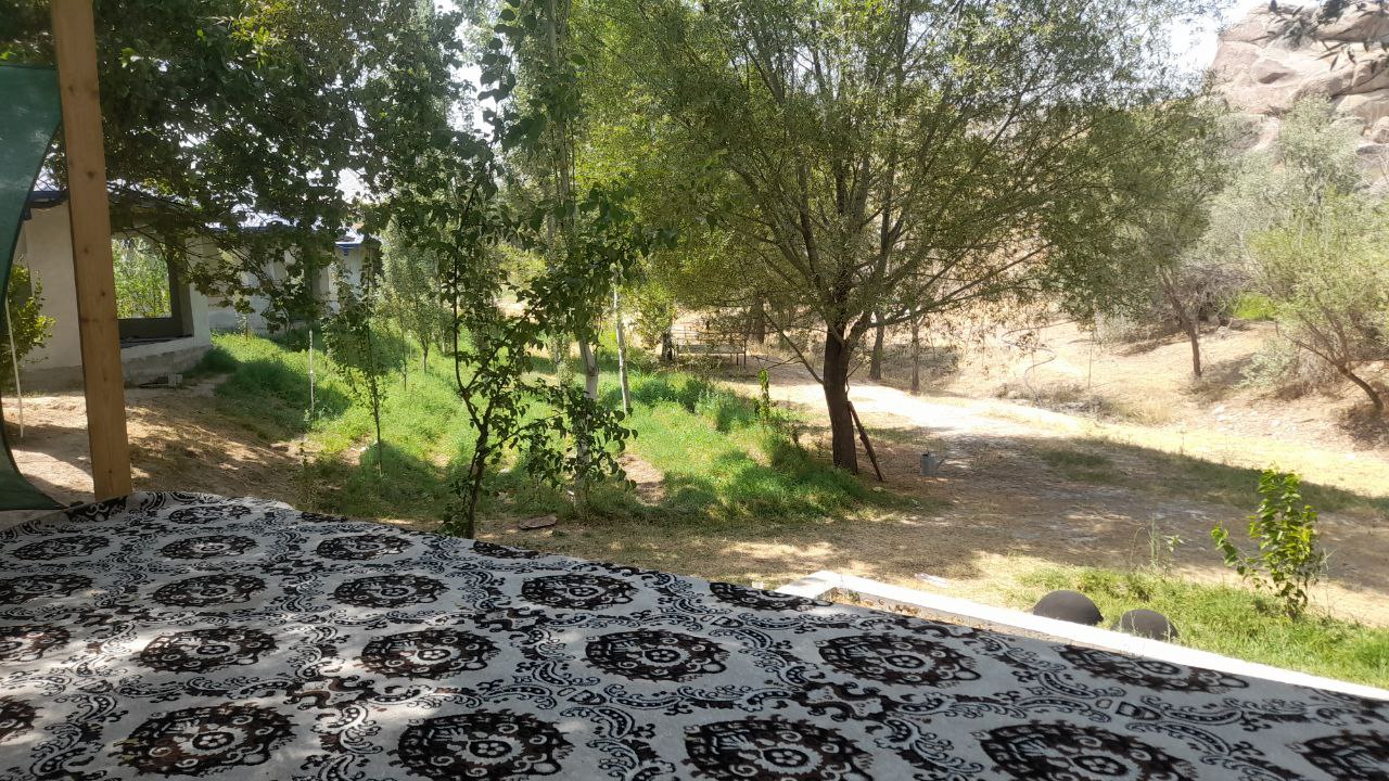 Tog'lar va tabiat