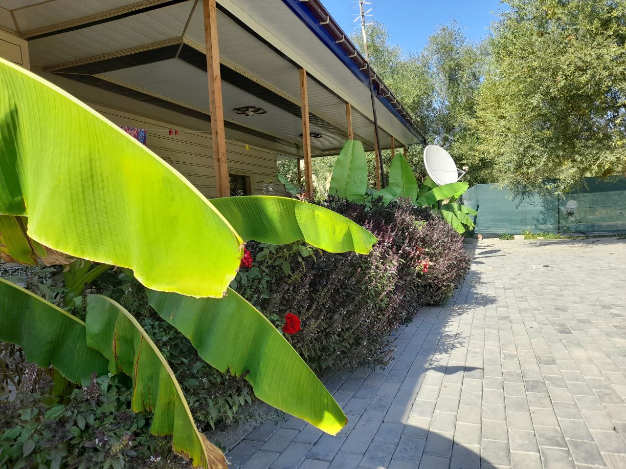Hovli