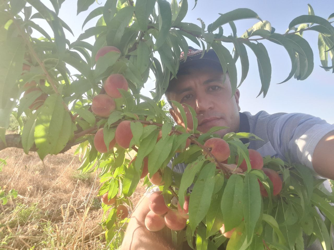 Faollik zonasi