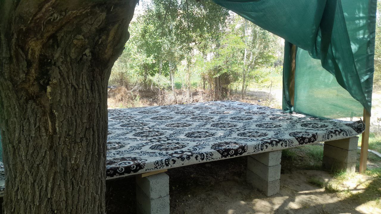 Tabiat